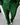 LOOSE FIT RIBBED TROUSER - GREEN